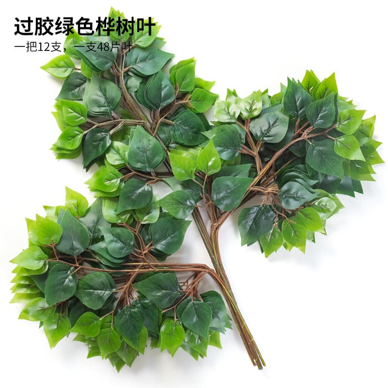 Gummed green birch leaves