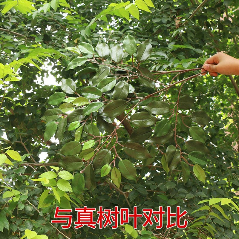 Simulated Banyan Leaves Hand-Feel Plastic Banyan Branches Green Plant Leaves Fake Branches Engineering Decoration Landscaping 3