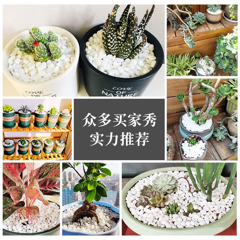 Natural cobblestone White small stone paving snowflake white gravel white marble garden landscape withered landscape White Stone 4