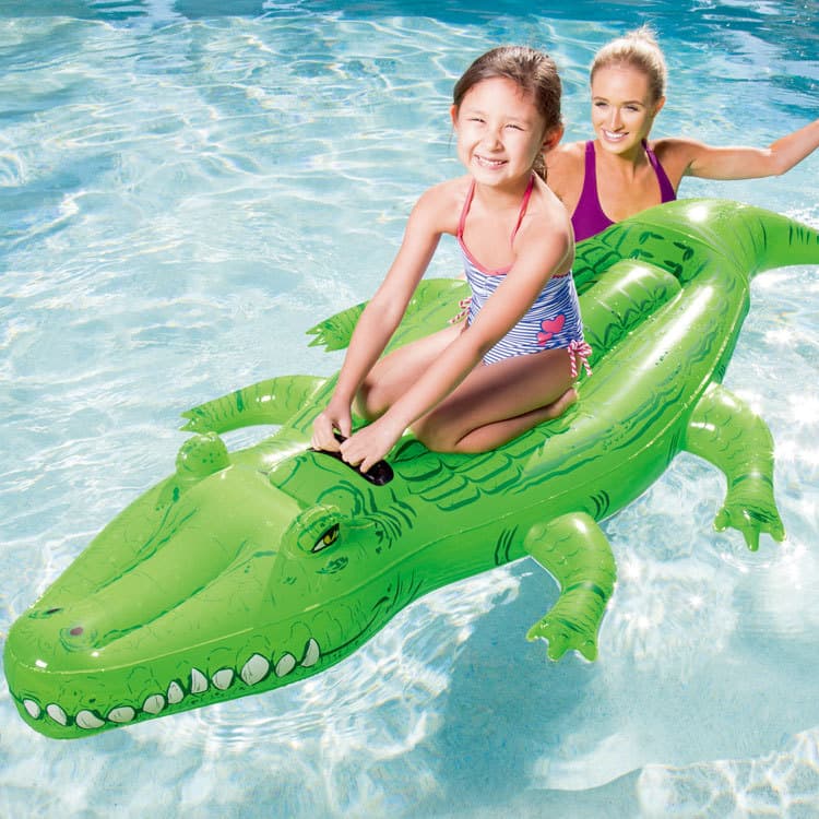 41010 (crocodile