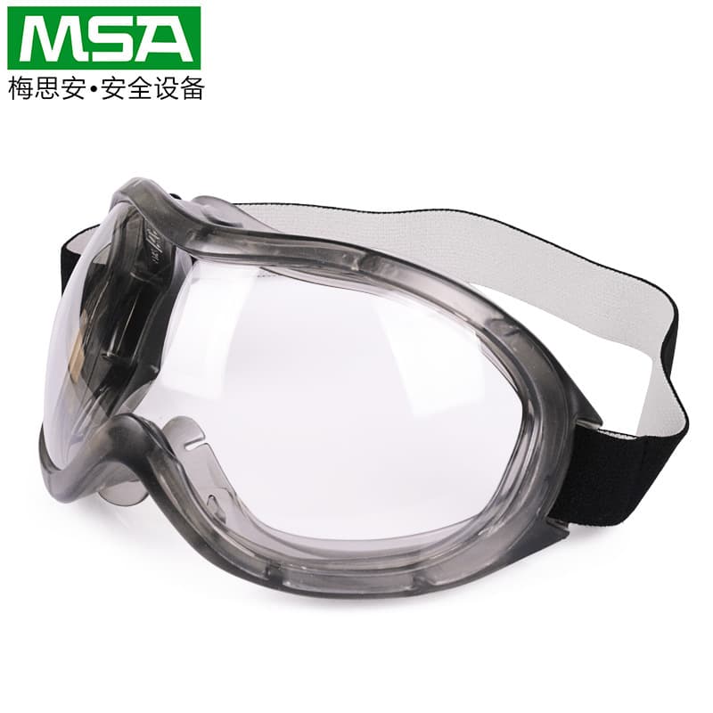 MSA9913225 protective glasses