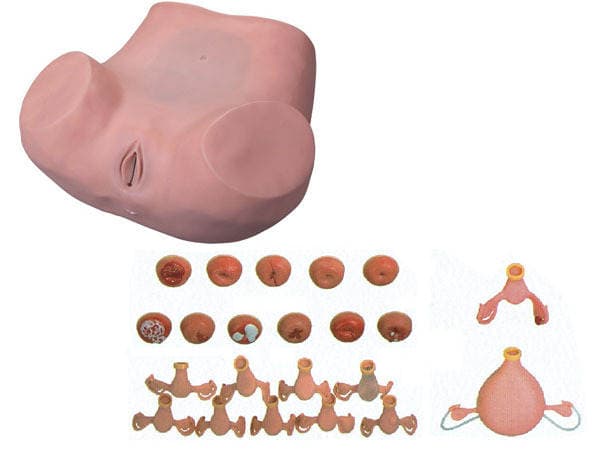 High Intelligent Digital Childbirth and Maternal and Child Emergency Simulator 3