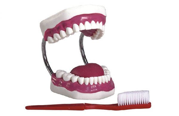 Dental Care Health Model