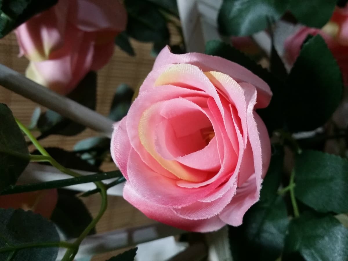 Pink