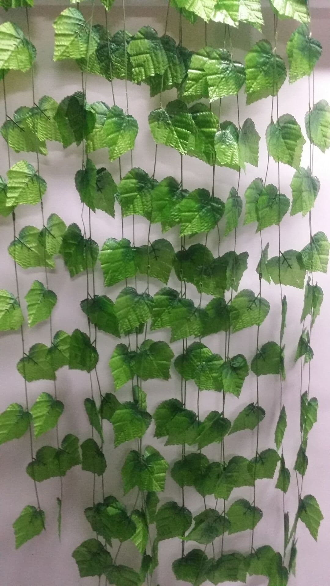 18 grape leaves