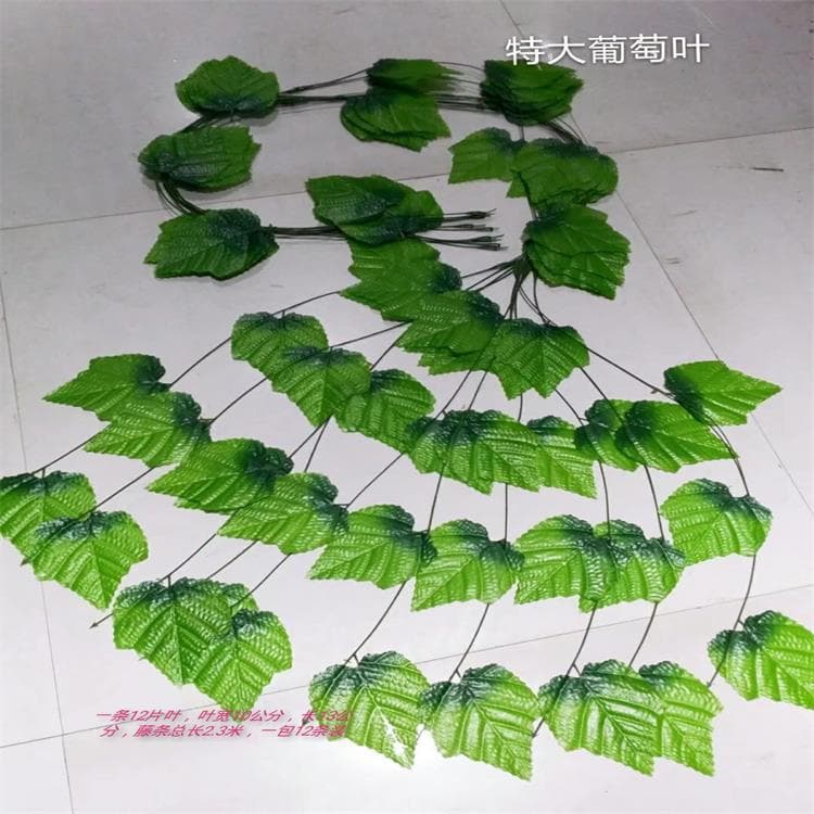 12 large grape leaves