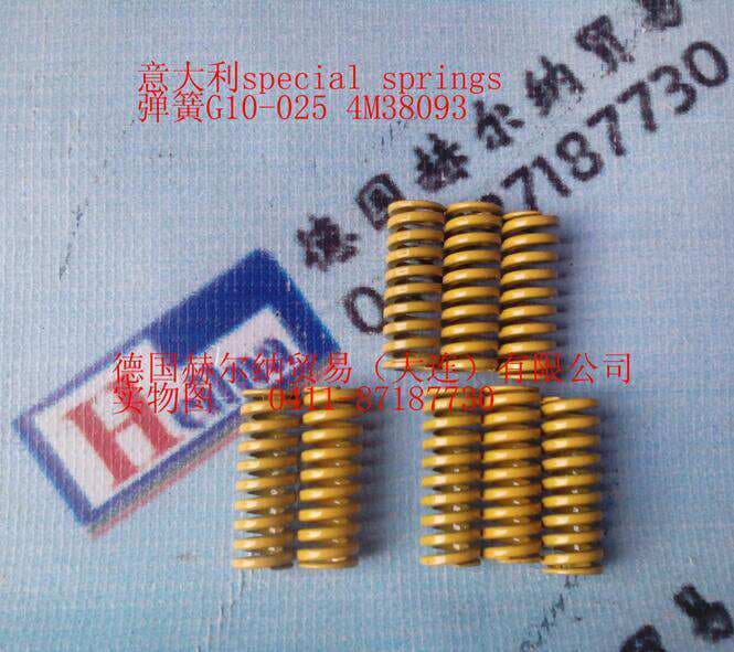 Italian Special Springs Nitrogen Spring G10025 2
