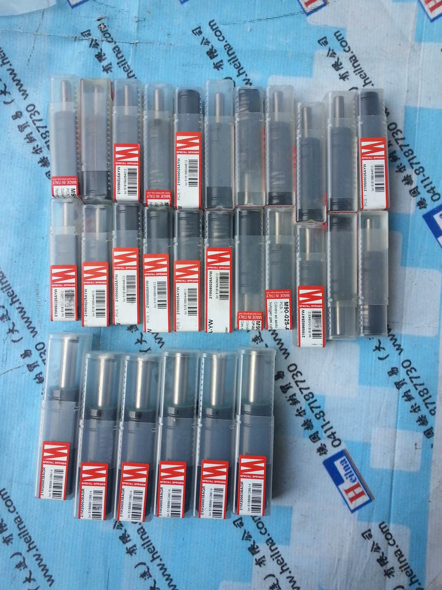 Italian Special Springs Nitrogen Spring G10025 3