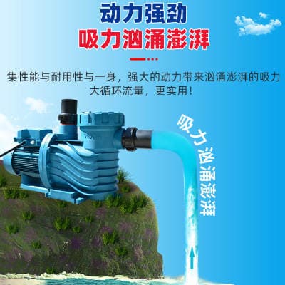 AQUA/Aike AP model hovuz dövriyyəsi üçün qum filtri nasosu 3