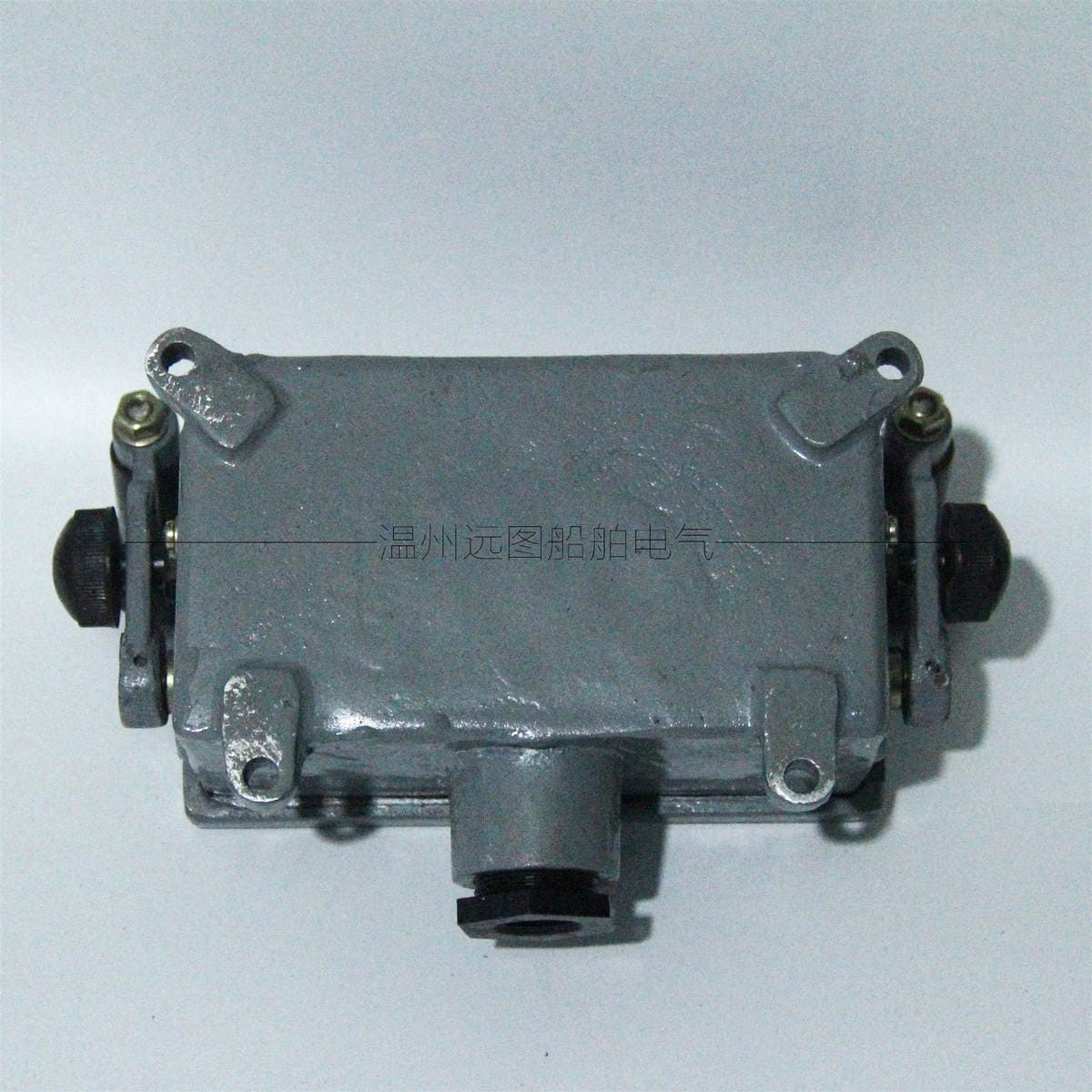 Yuantu Electric Marine Double Handle Key Switch AJ2 Mohs Key 220V10A Protection Class IP56 3