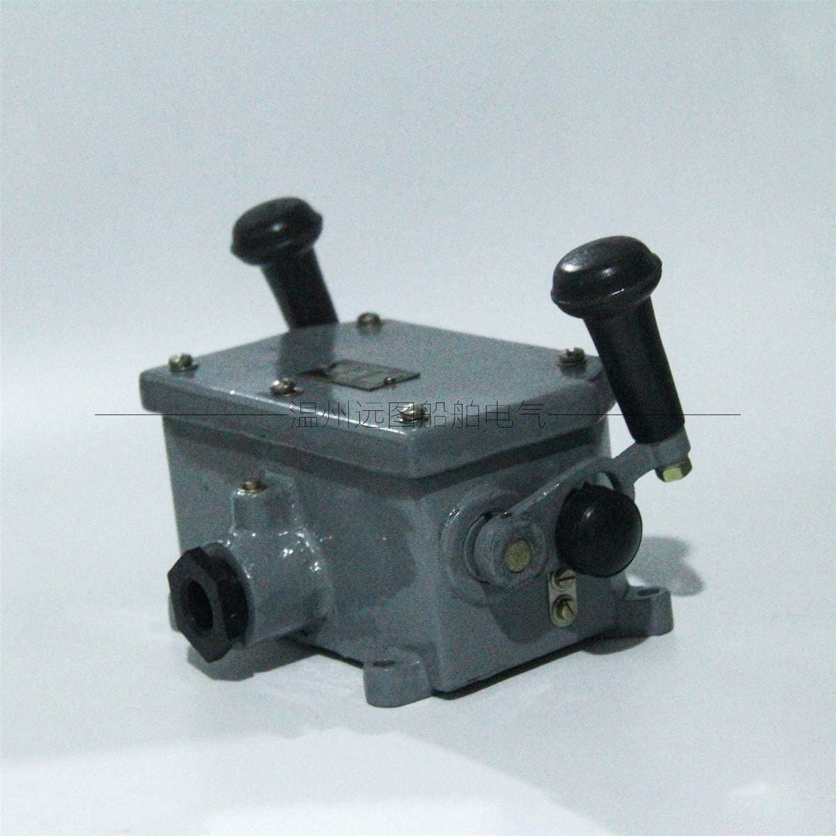 Yuantu Electric Marine Double Handle Key Switch AJ2 Mohs Key 220V10A Protection Class IP56 2