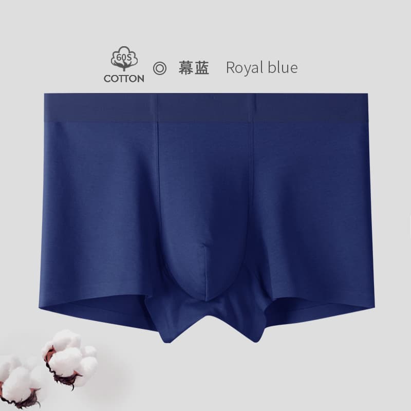 Curtain Blue