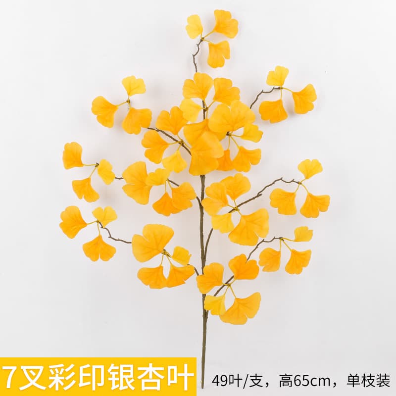 7 fork ginkgo leaf yellow 1 branch