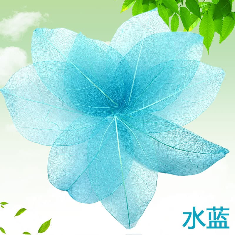 Water orchid