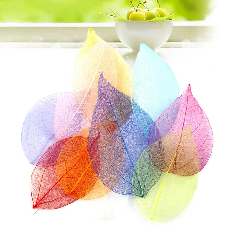 Natural Gold Leaf Vein Dried Flower Specimen Pressed Flower Tassel Bookmark Card Resin DIY Materials 4