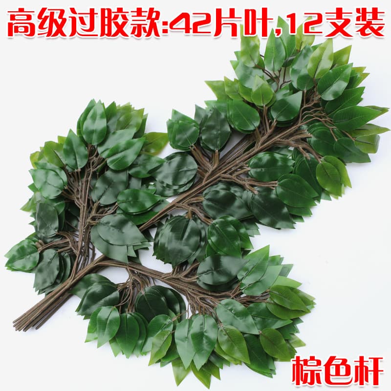 Glue Ficus Brown Rod