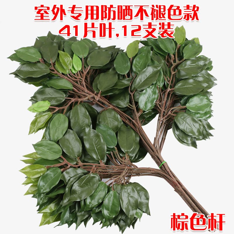 Sunscreen Banyan outdoor style