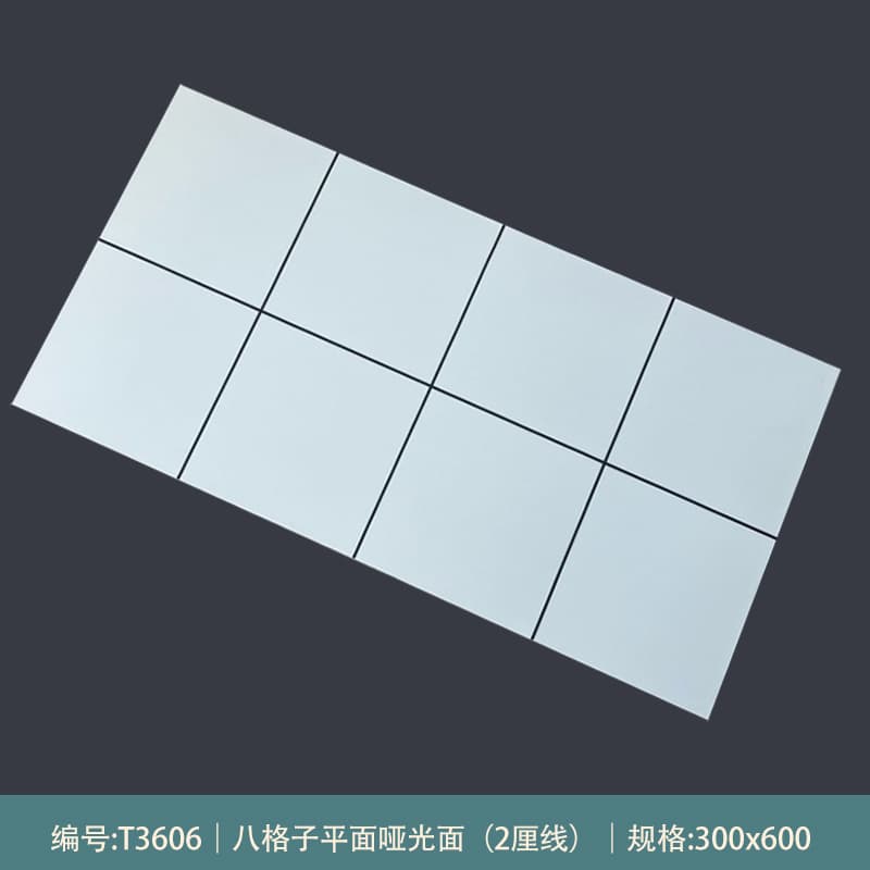 T3606 [matte Style]]
