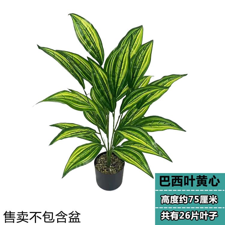 26 leaves green brazilian wood