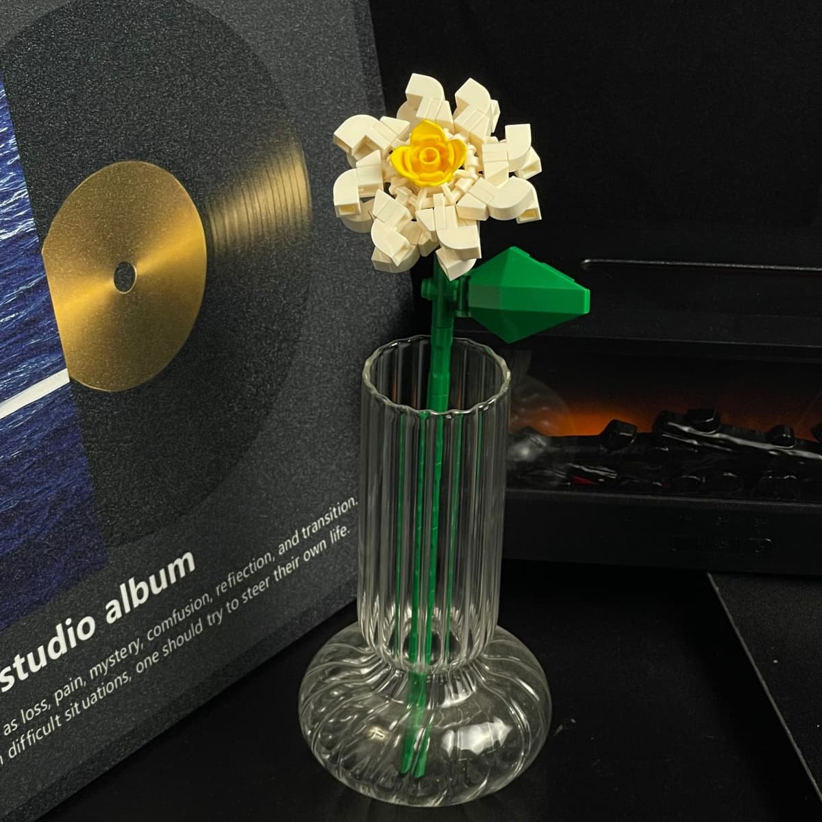 Small camellia (bagged)