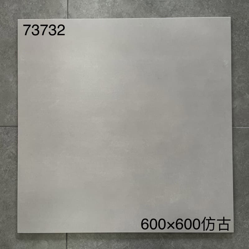 73732