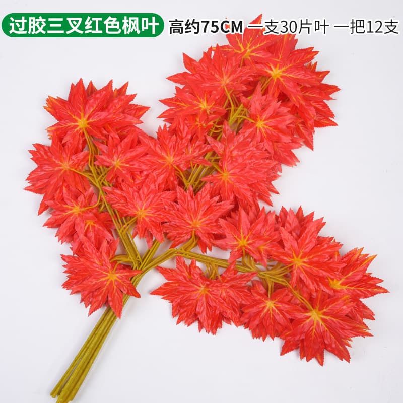 Glue trigeminal red maple leaf single