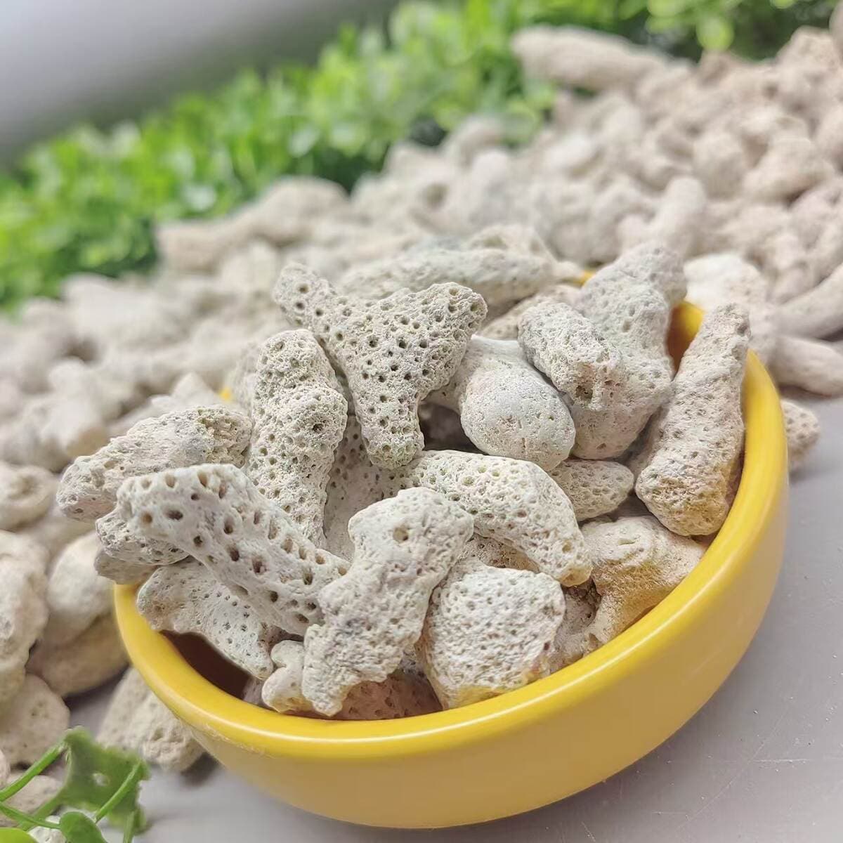 Source Supply of Spot Coral Sand, Coral Bone, Fish Pond Aquarium Filtration Water Treatment Fish Tank Landscaping Coral Stone 2