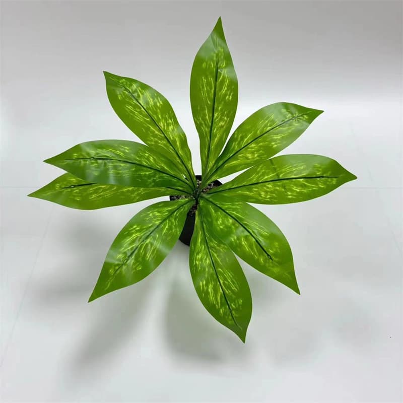 9-leaf sword orchid leaves (light)