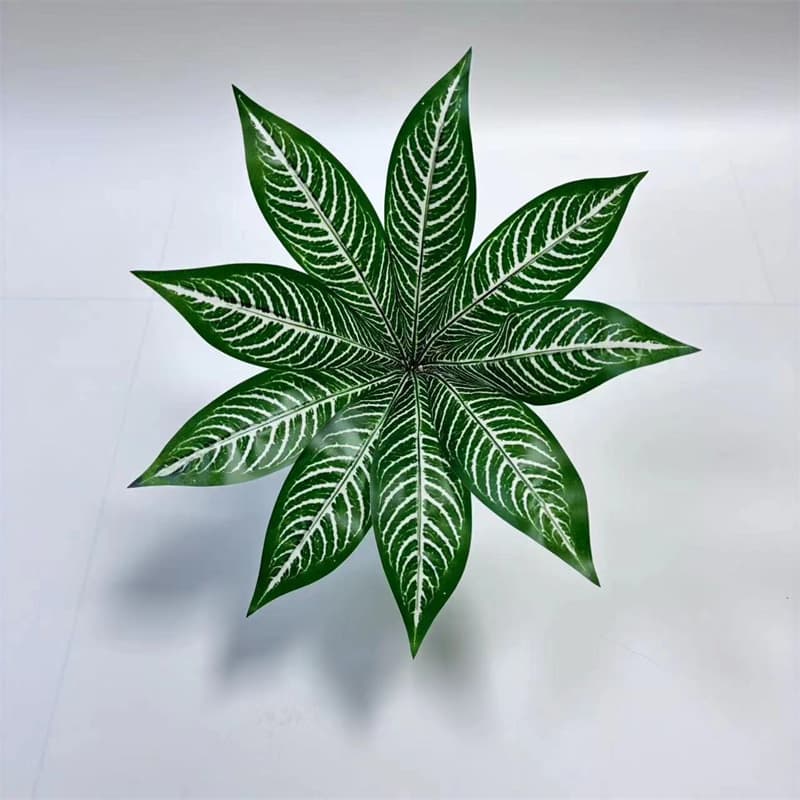 9-leaf white-grained zebra leaves (depth)