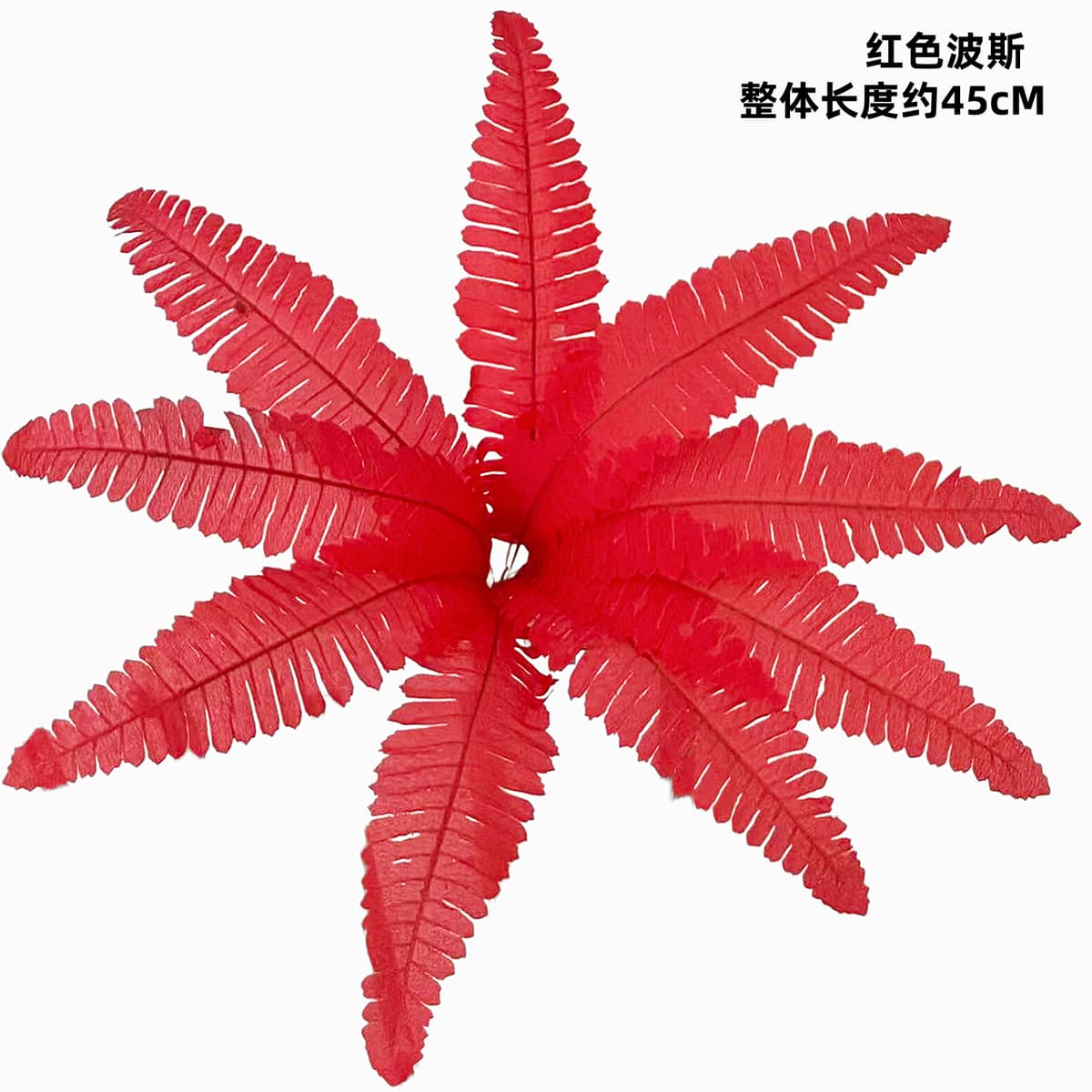9-leaf red persian (large leaf)