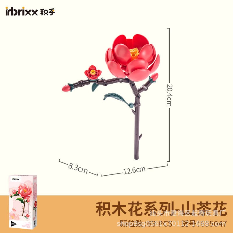 655047 camellia