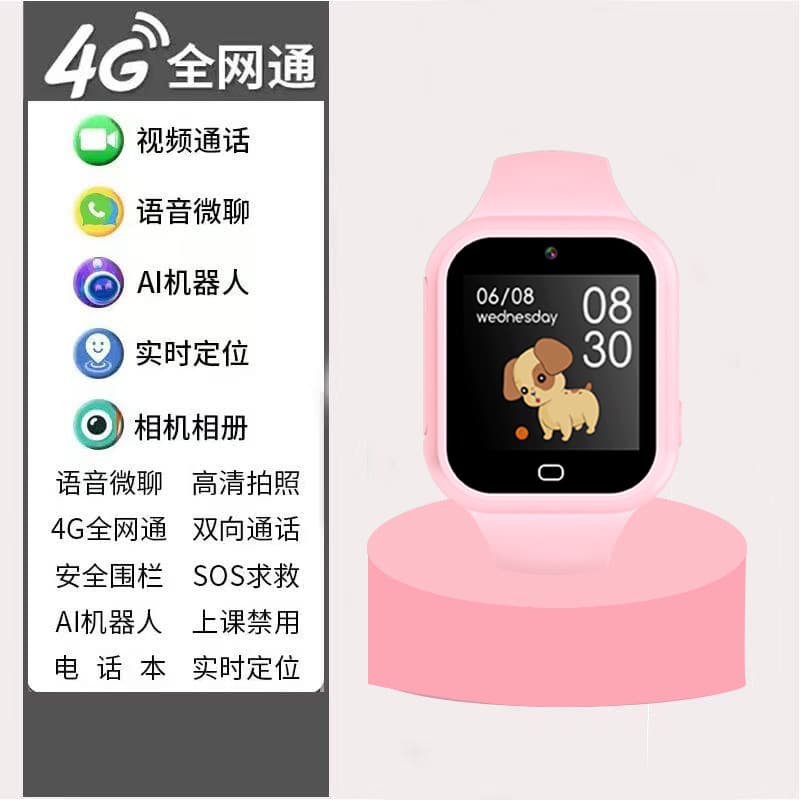 4g full network p1 drainage model + pink