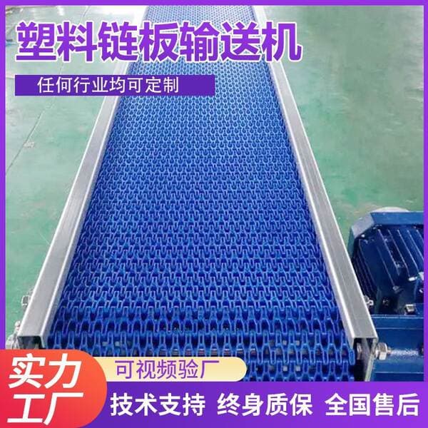 Flexible Conveyor Line for the Food and Electronics Industries, Multi-Industry Universal Conveyor Device, Silent Plastic Chain Plate Conveyor