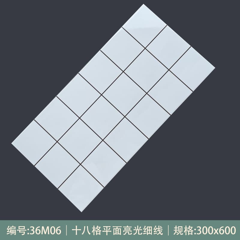 36M06 [glossy style]]