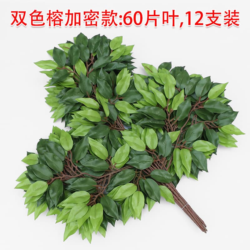Two-color banyan encrypted model