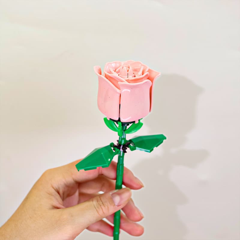 Pink rose [bud]
