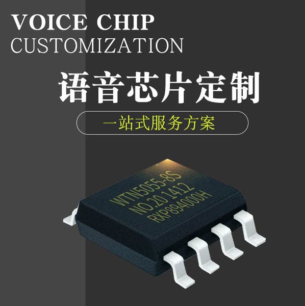 Oyuncaqlar və Elektron Məhsullar üçün Fərdi Səs IC Çipi (İnkişaf və Dizayn)