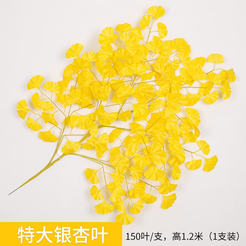 Extra large ginkgo leaf 1 branch