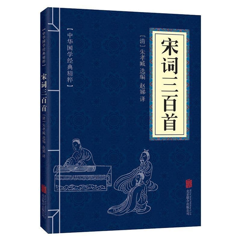 Three hundred song lyrics [small blueprint - thin edition]: original text + annotations + analysis