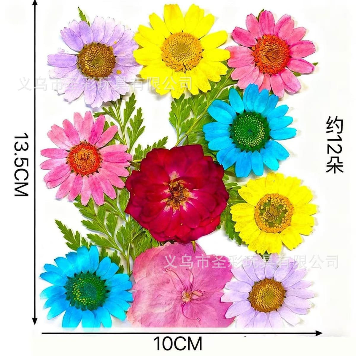 Dried flower material package (color)
