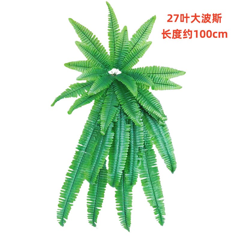 27 leaf big persian