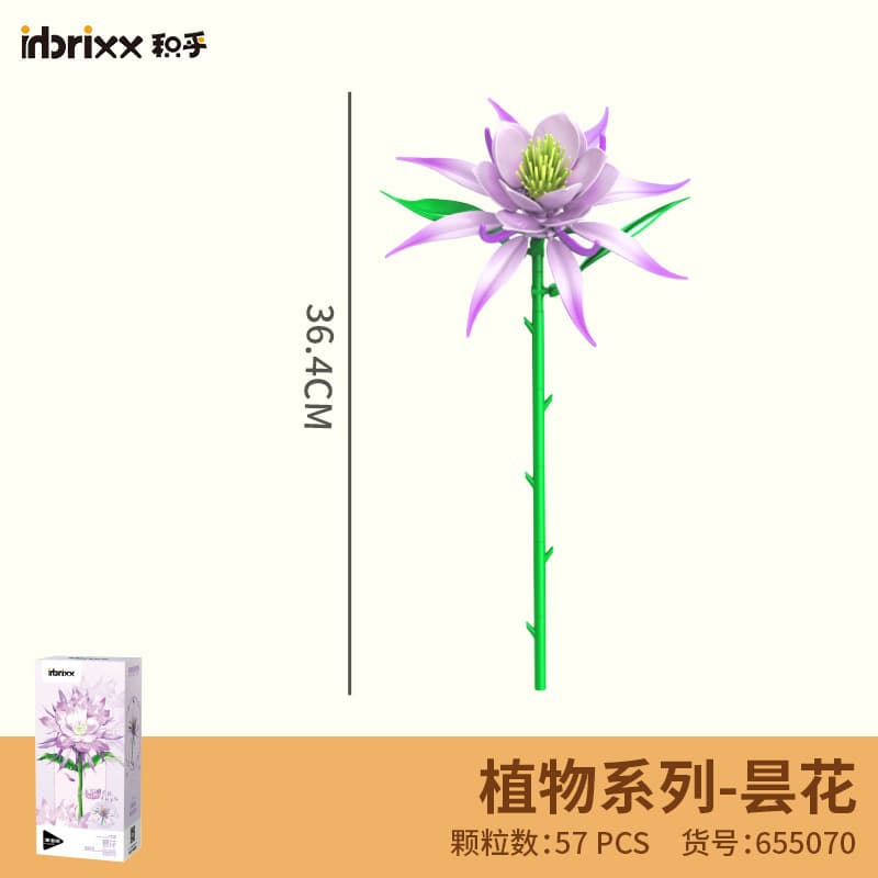 655070 epiphyllum