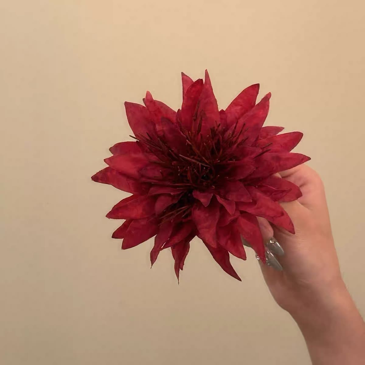 Red anemone flower hairpin