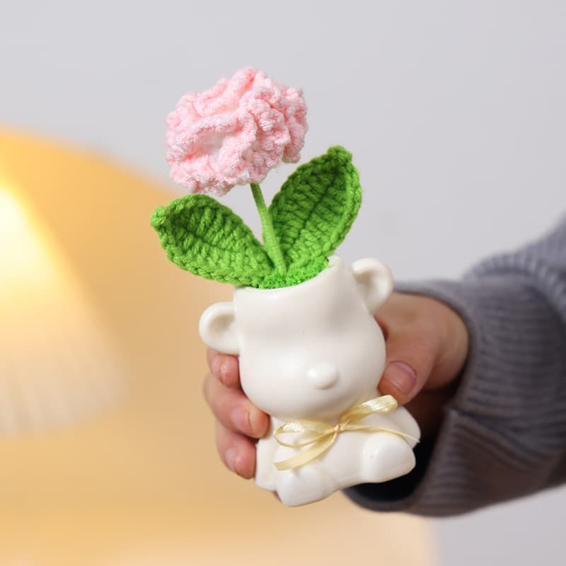 Pink carnation
