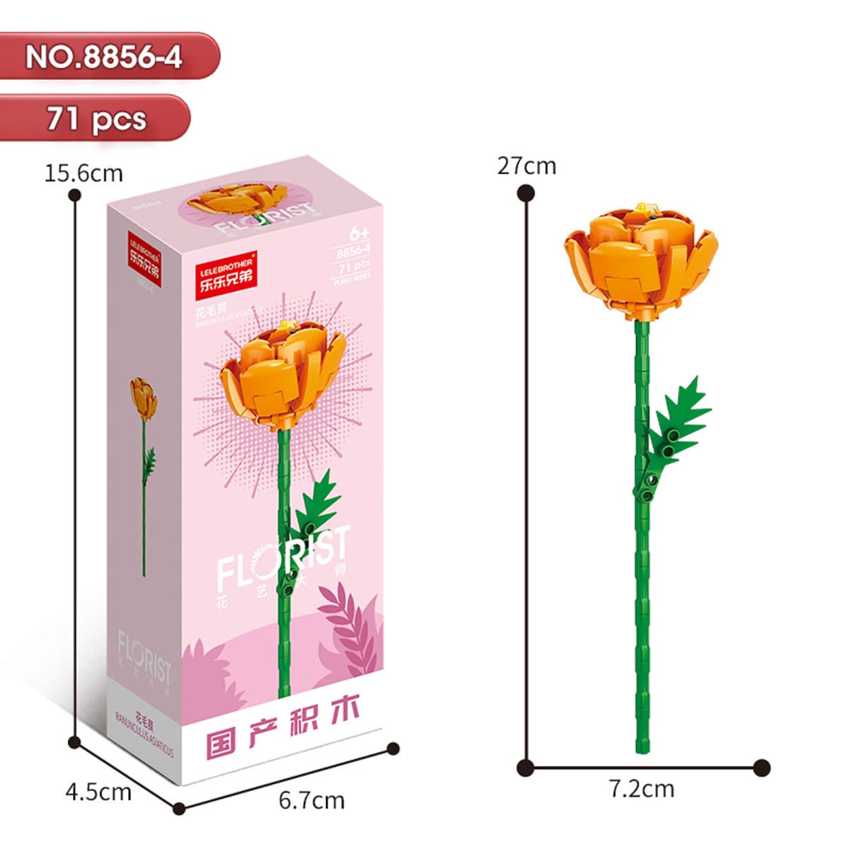 8856-4 Ranunculus 71PCS