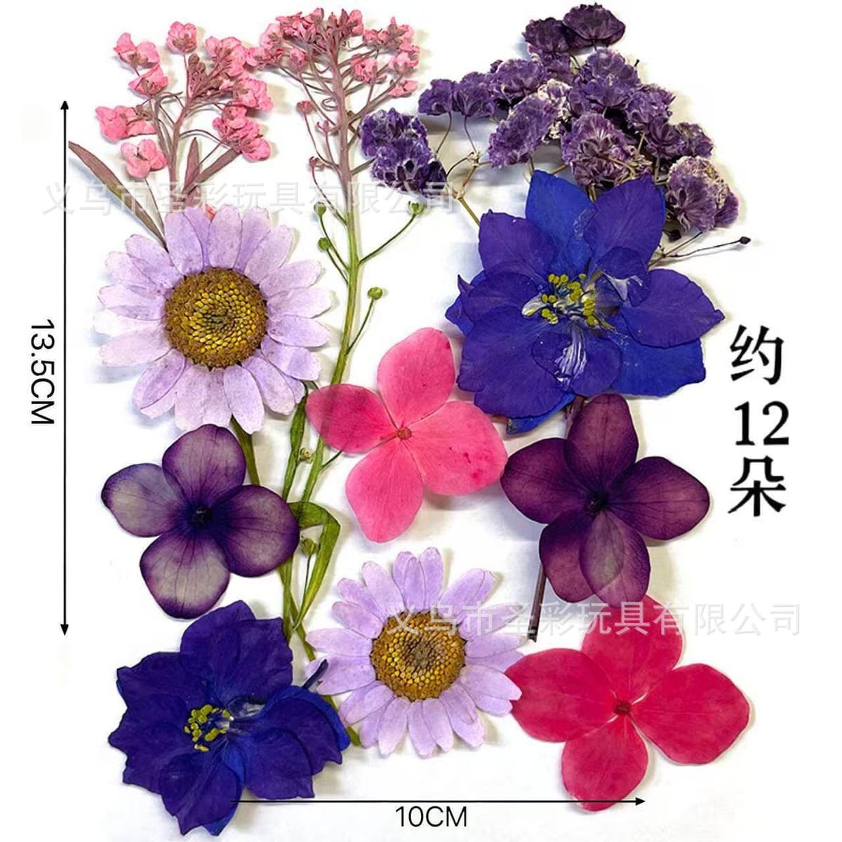 Dried flower material package (purple)