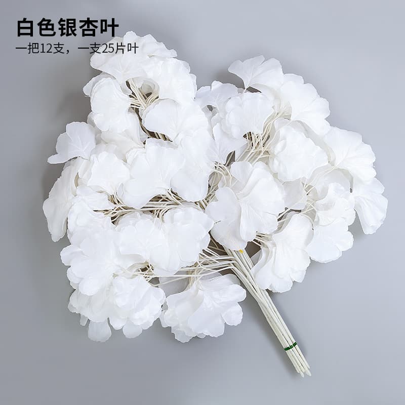 Single White ginkgo leaf