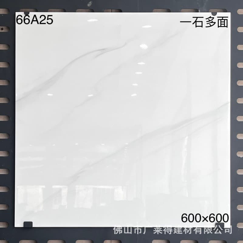 66A25