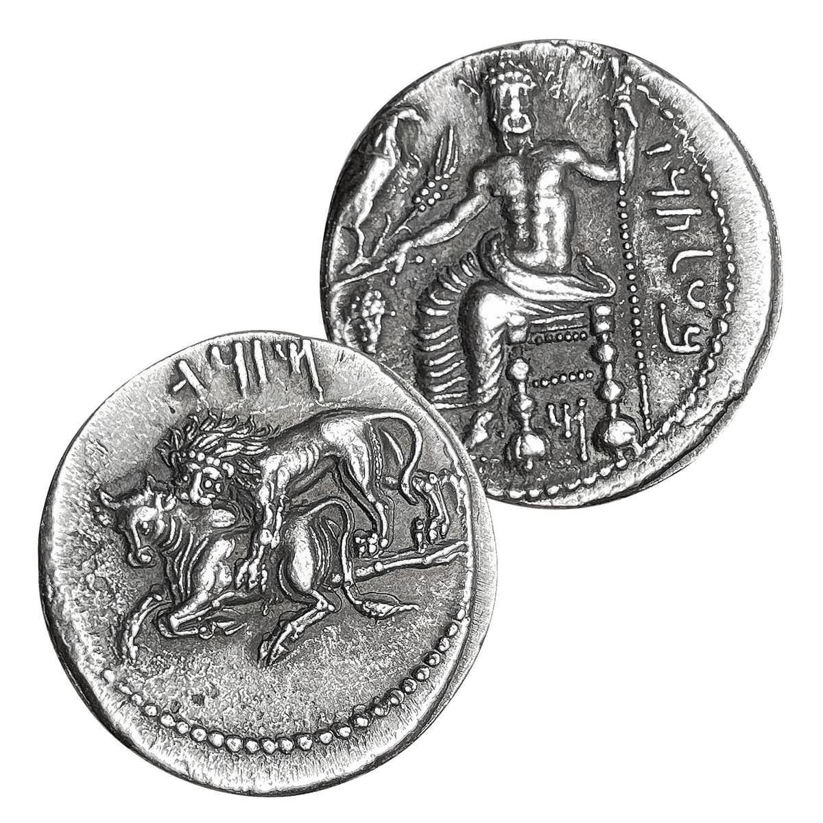 Tarsus lion bites bull 23mm