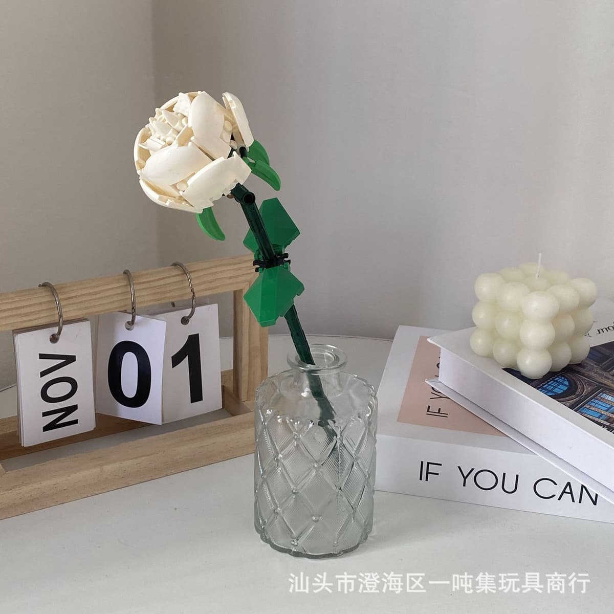 White rose [in full bloom]